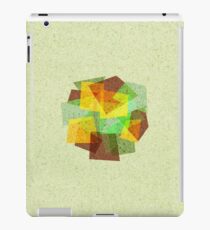 EARTH iPad Case/Skin