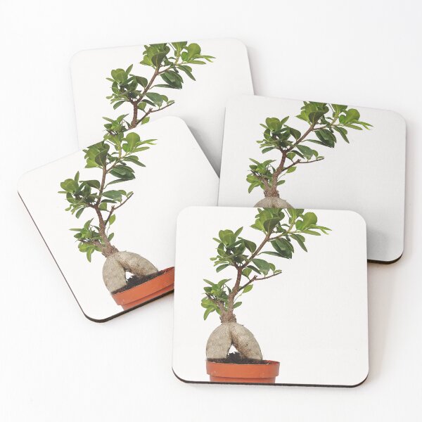 Item preview, Bonsai Baobab. designed and sold by Paul Pasco.