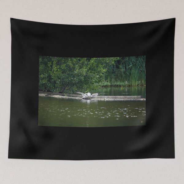 Item preview, I beg you mom. Mew gull designed and sold by Jouko Lehto Photography.