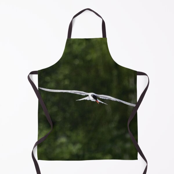 Item preview, To dive or not. Common tern designed and sold by Jouko Lehto Photography.
