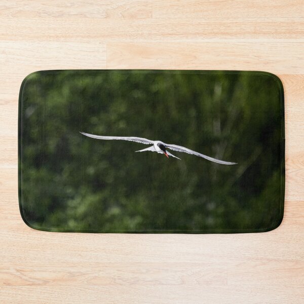 Item preview, To dive or not. Common tern designed and sold by Jouko Lehto Photography.