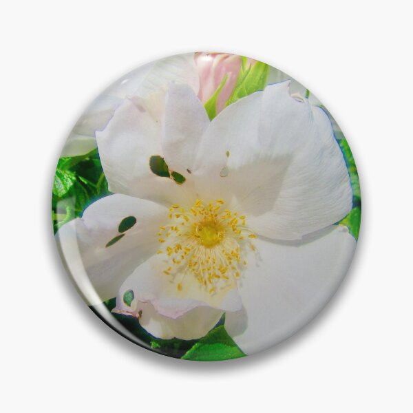Item preview, Wild white roses designed and sold by Shulie1.