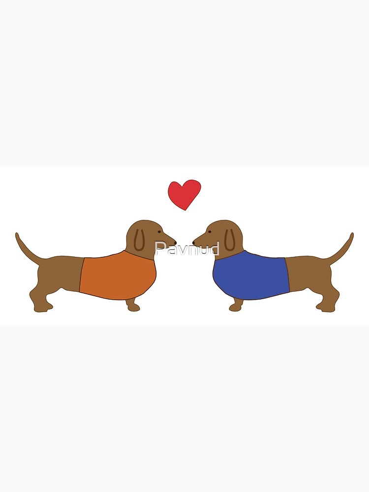 are dachshunds loving