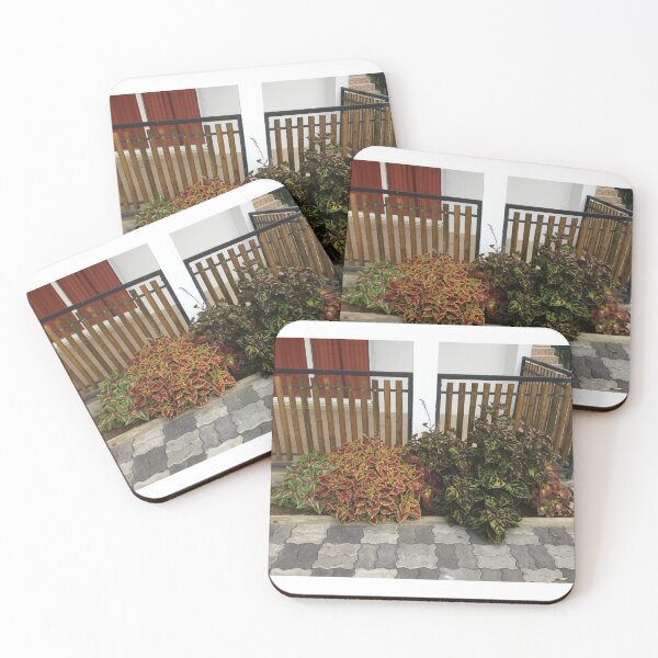 Item preview, Plant varieties designed and sold by Millesheiks.