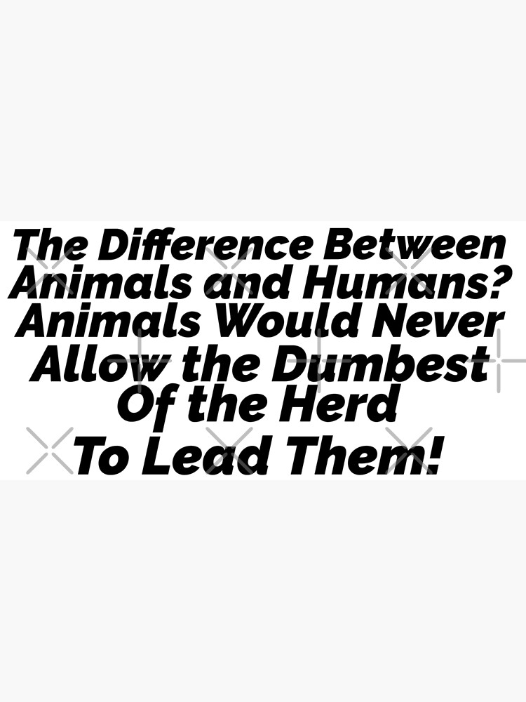 the-difference-between-animals-and-humans-animals-would-never-allow