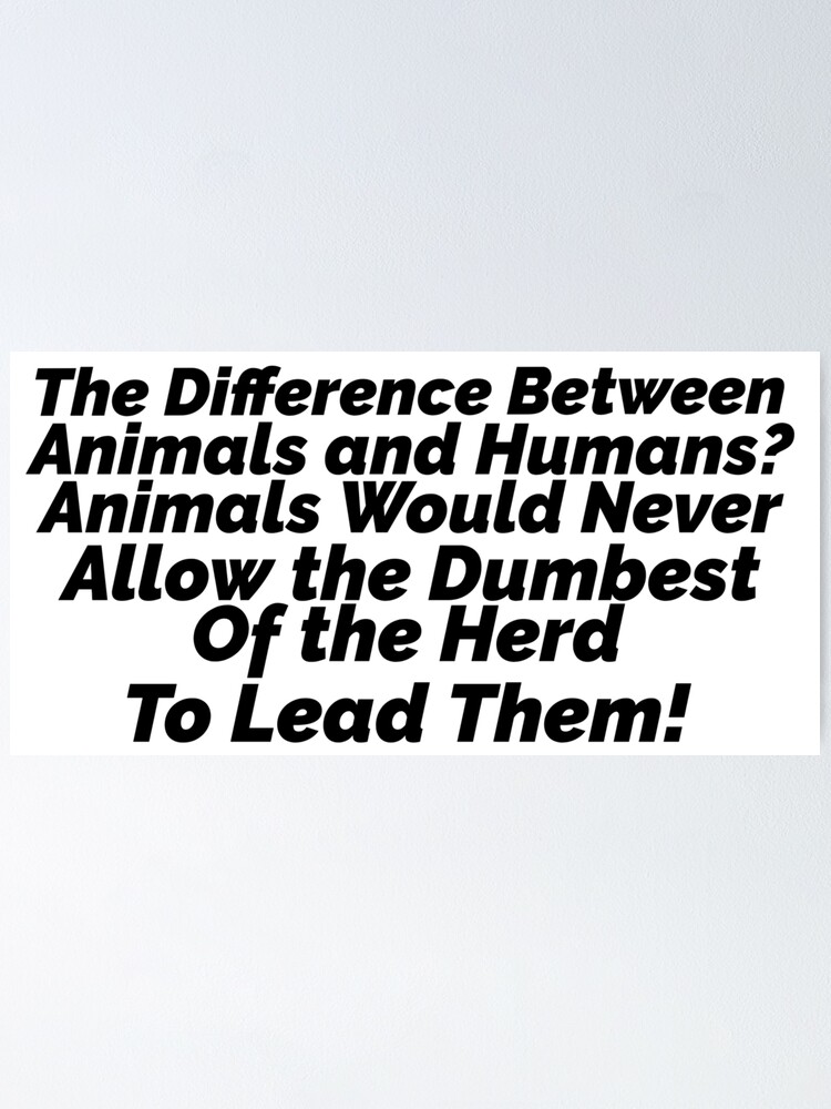 the-difference-between-animals-and-humans-animals-would-never-allow