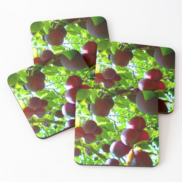 Item preview, Plums in Taos, New Mexico designed and sold by KR Art Studio.