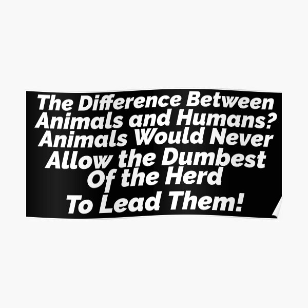 "The Difference Between Animals and Humans? Animals Would Never Allow