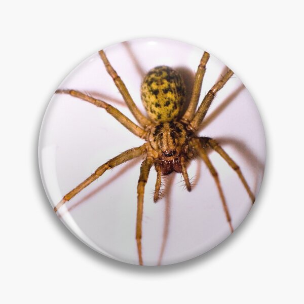 Item preview, Intruder designed and sold by Geoff Carpenter.