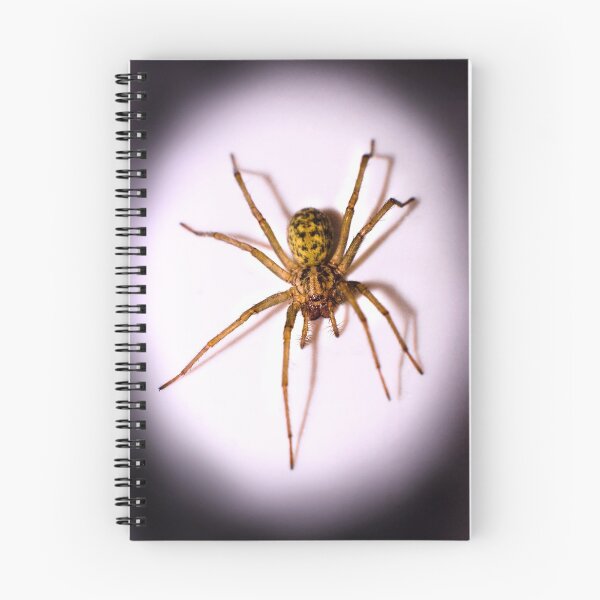 Item preview, Intruder designed and sold by Geoff Carpenter.