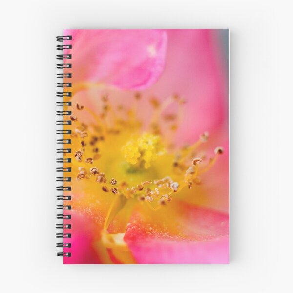 Item preview, Open Pink Rose designed and sold by Geoff Carpenter.