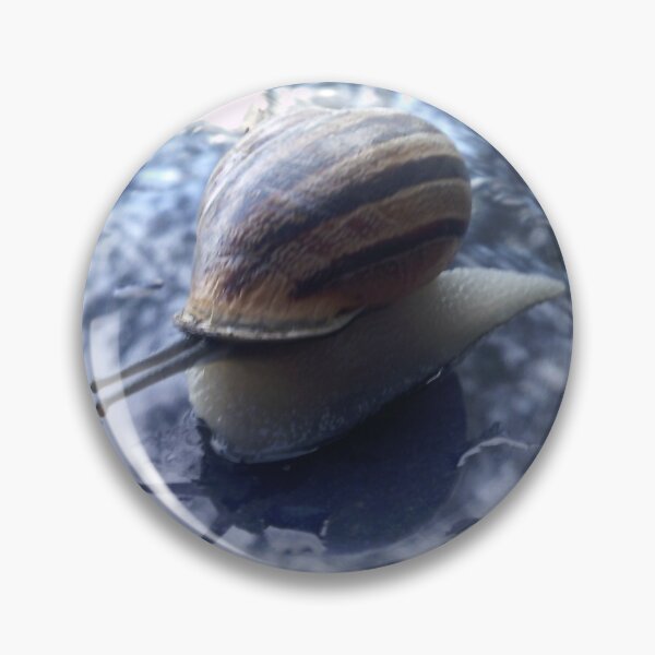 Item preview, snail over a blue car-2 designed and sold by walterfest.
