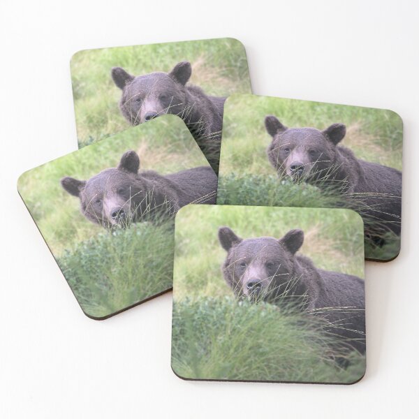 Item preview, Brown bear (Ursus arctos) designed and sold by Catharina Dahlqvist.