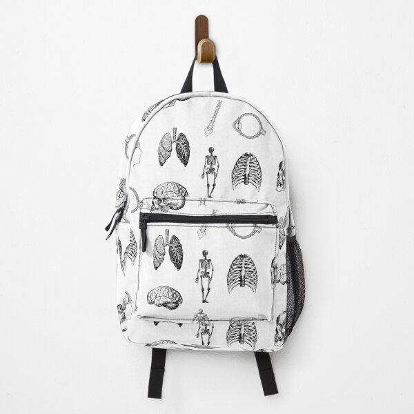 Item preview, Anatomy Pack designed and sold by STEM-women.