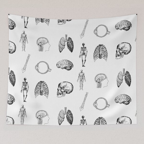 Item preview, Anatomy Pack designed and sold by STEM-women.