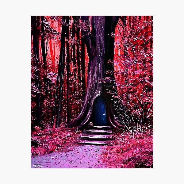 Closed Season Photographic Print