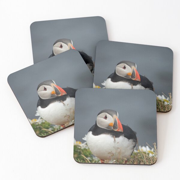 Item preview, Puffin at Látrabjarg designed and sold by Catharina Dahlqvist.
