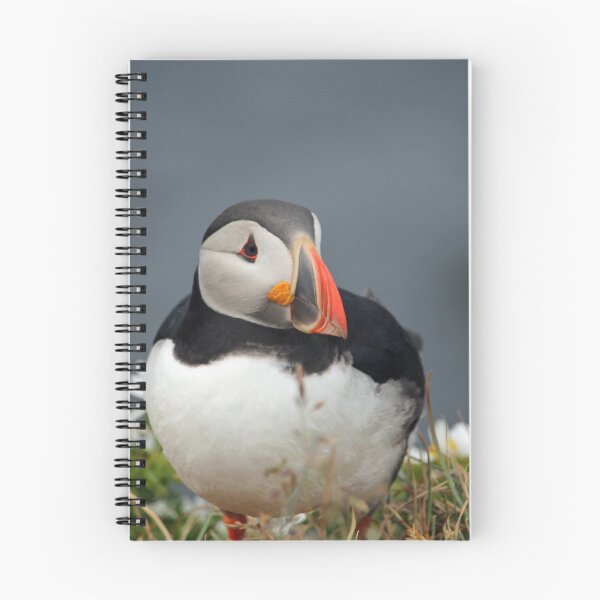 Item preview, Puffin at Látrabjarg  designed and sold by Catharina Dahlqvist.