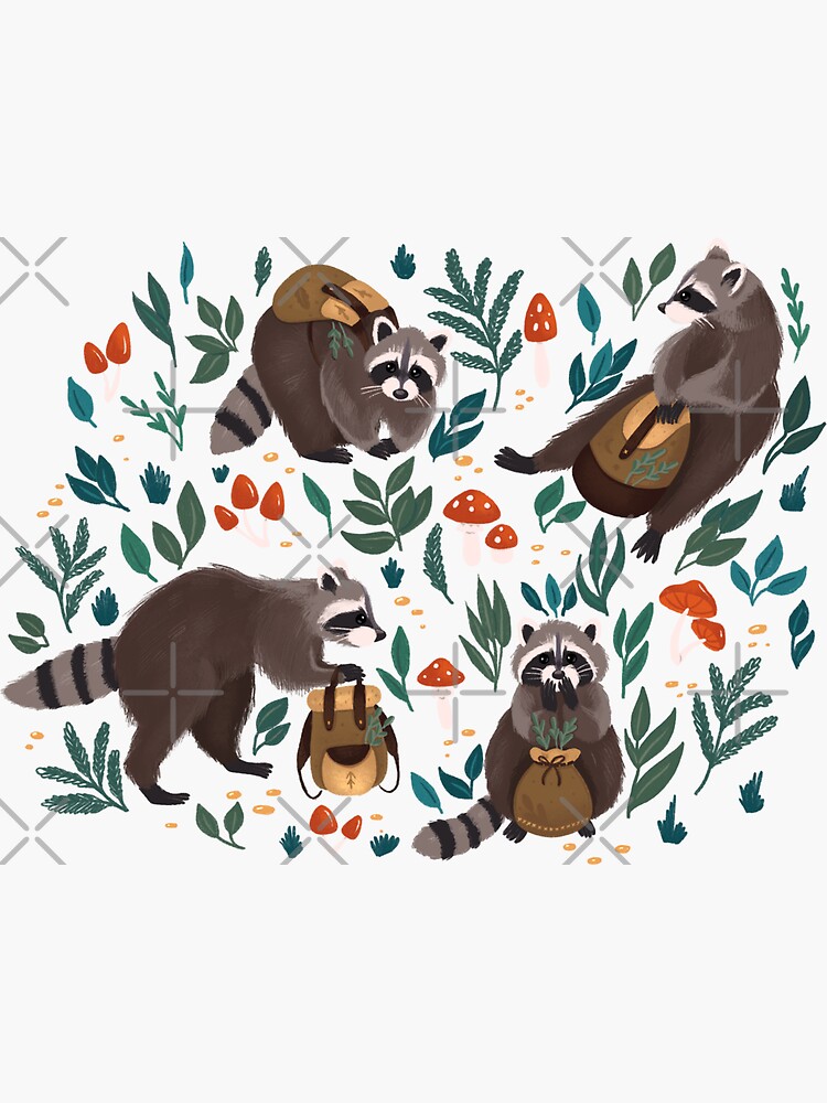 Raccoons grey by Elenanaylor