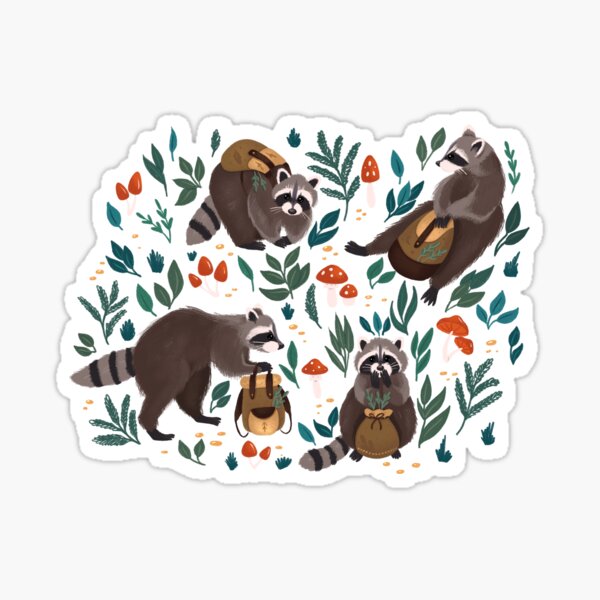 Raccoons grey Sticker