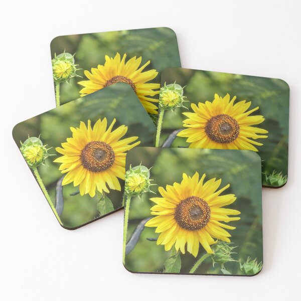 Item preview, Sunflower designed and sold by Frankie Cat Photography.