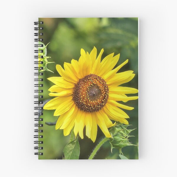 Item preview, Sunflower designed and sold by Frankie Cat Photography.