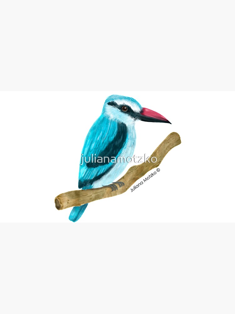 Woodland Kingfisher by julianamotzko