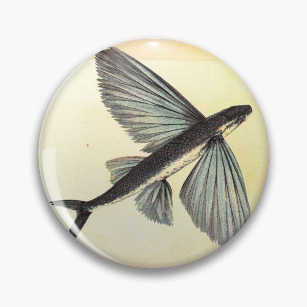 Item preview, Flying Fish in California - Vintage Postcard designed and sold by Veriepear.