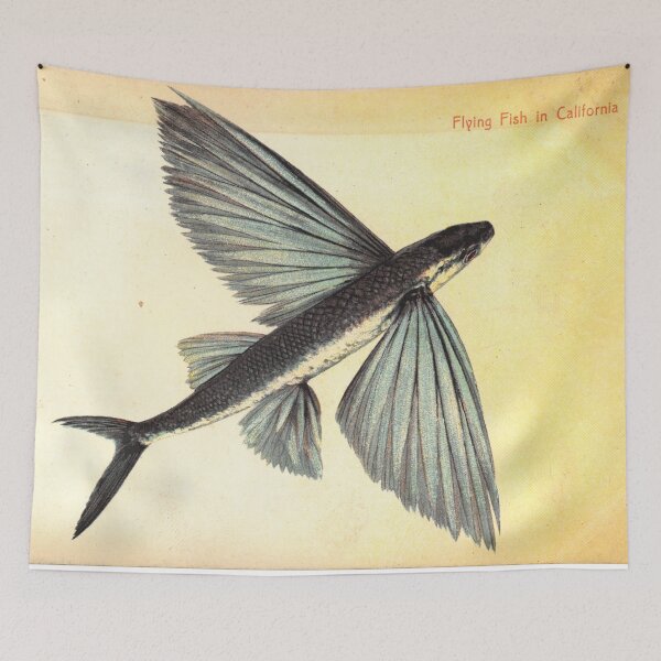 Item preview, Flying Fish in California - Vintage Postcard designed and sold by Veriepear.