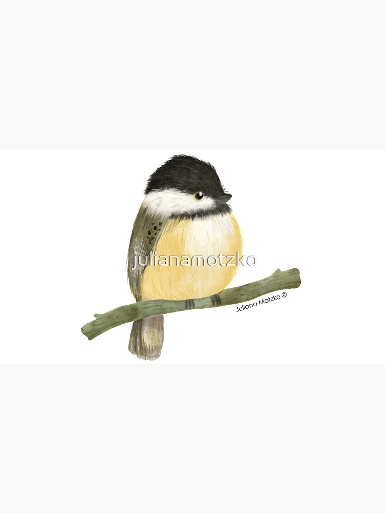 Black capped chickadee bird by julianamotzko