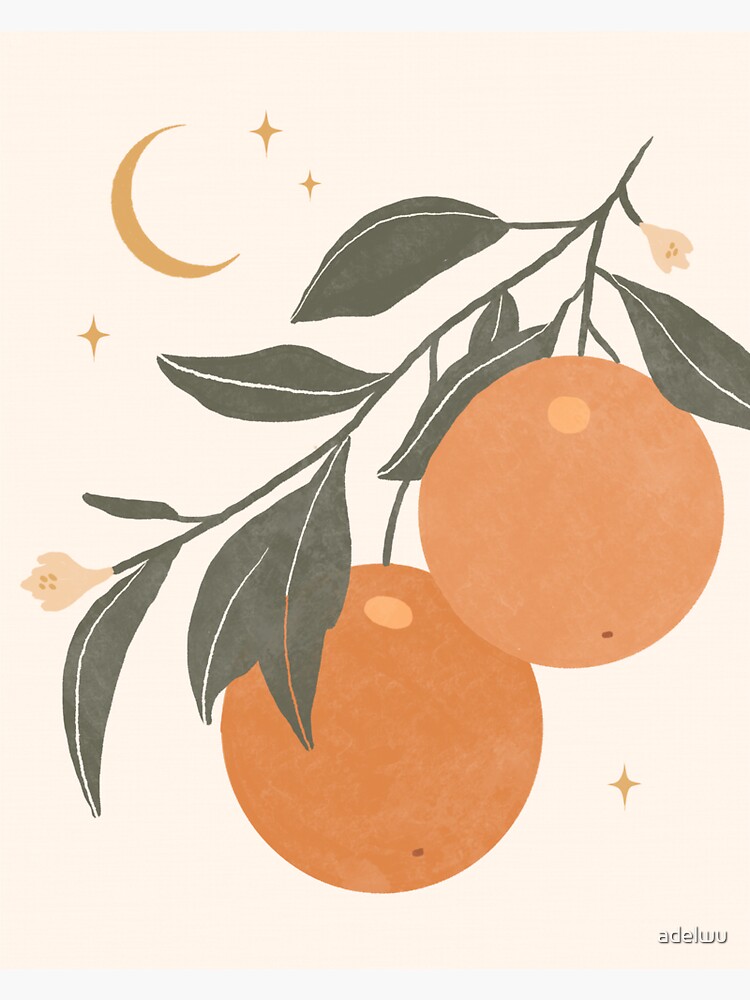 "Vintage Clementine Orange Illustration, Tangerine Fruit Art" Sticker