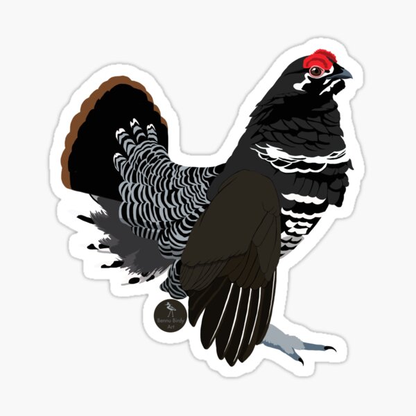 Item preview, Spruce Grouse designed and sold by BennuBirdy.