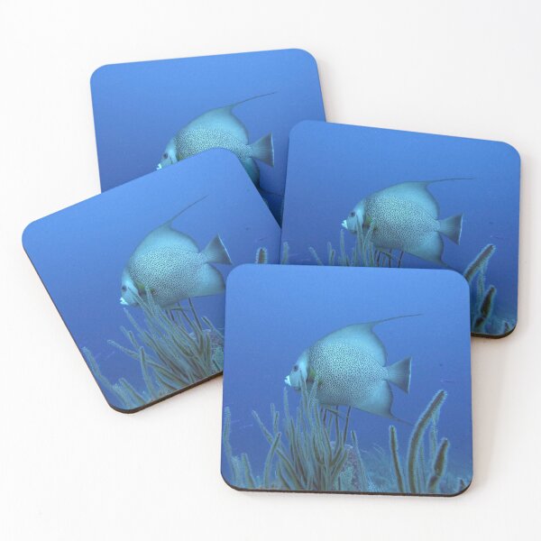 Item preview, Gray Angelfish Photograph designed and sold by wavykatie designs.