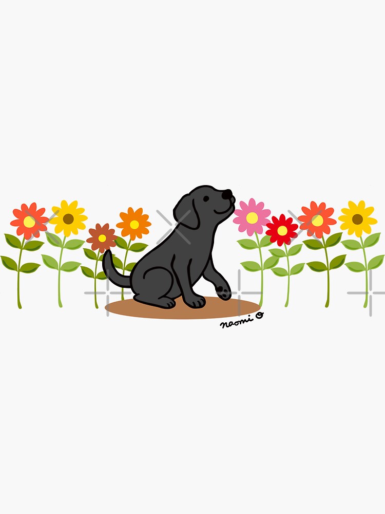 Thumbnail 3 of 3, Sticker, Black Labrador Puppy and Flowers designed and sold by HappyLabradors.