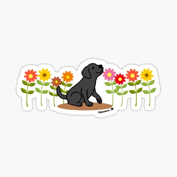 Black Labrador Puppy and Flowers Sticker