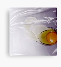 Scanned Egg Canvas Print