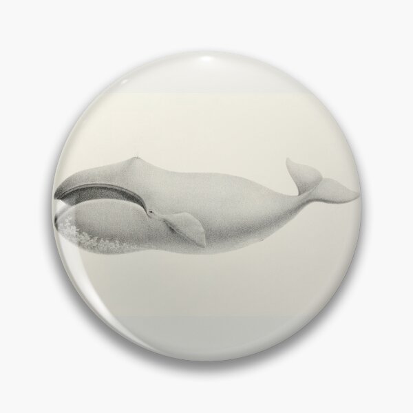 Item preview, Whale - Bowhead Whale by Charles Melville Scammon. designed and sold by janicerafael.