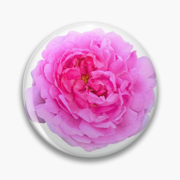 Item preview, Pink Rose Flower Still Life Floral Photography designed and sold by CottoVerdi.