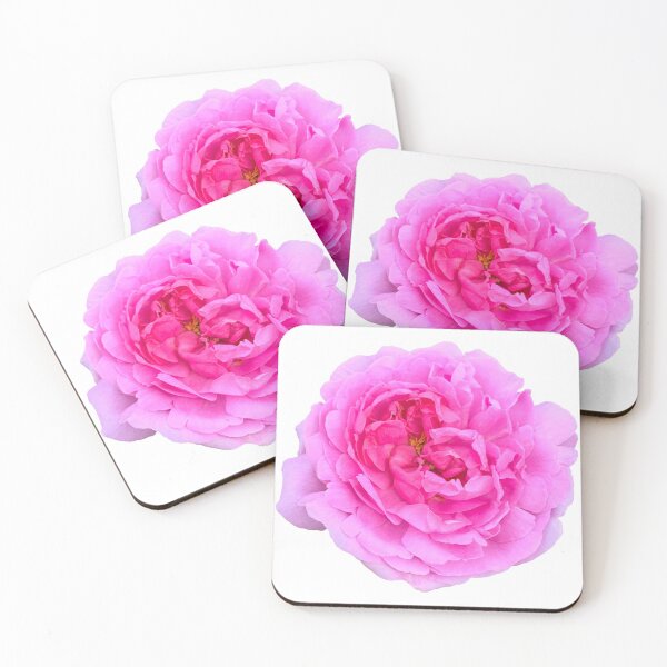 Item preview, Pink Rose Flower Still Life Floral Photography designed and sold by CottoVerdi.