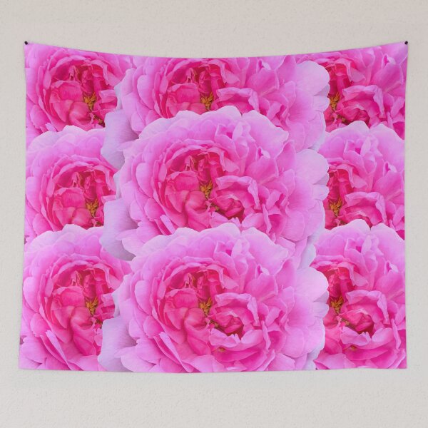 Item preview, Pink Rose Flower Still Life Floral Photography designed and sold by CottoVerdi.