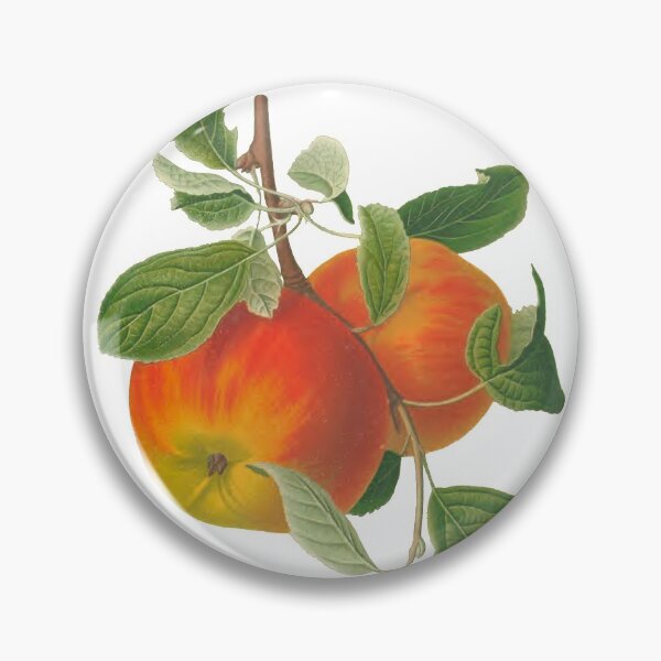 Item preview, Red Apples Botanical Print designed and sold by Veriepear.