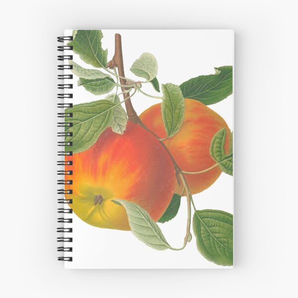 Item preview, Red Apples Botanical Print designed and sold by Veriepear.