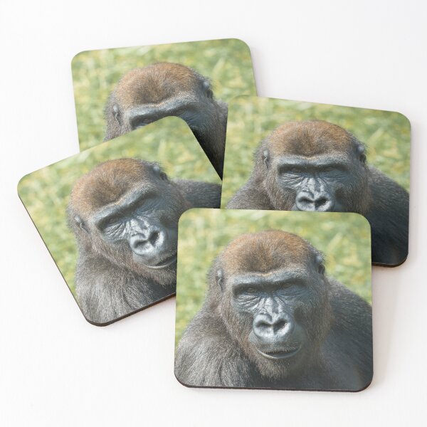 Item preview, Close -Up Gorilla Encounter designed and sold by rawshutterbug.