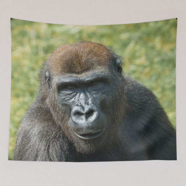 Item preview, Close -Up Gorilla Encounter designed and sold by rawshutterbug.