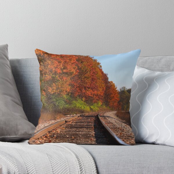 Artikelvorschau, Fall colors over a railroad in Ann Arbor, Michigan entworfen und verkauft von Daniel Arthur Brown Photography.