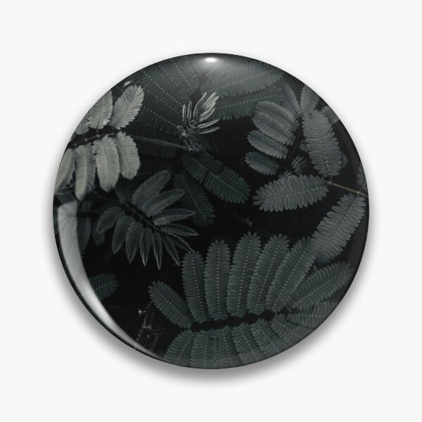 Item preview, Ferns4Life designed and sold by planny.