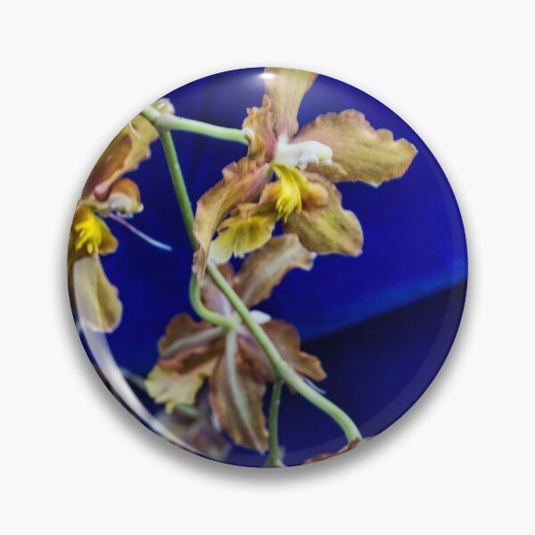 Item preview, Wilsonara Orchid designed and sold by alanathrower.