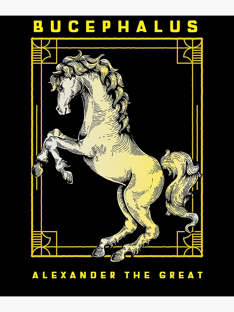 Póster «Bucéfalo, Caballo de Alejandro Magno, Aguafuerte del siglo XVI en oro» de ColtishSky1