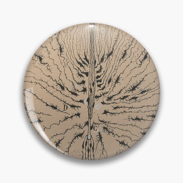Item preview, Cajal's brain neurons sketch designed and sold by banabananaz.