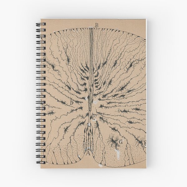 Item preview, Cajal's brain neurons sketch designed and sold by banabananaz.